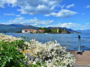 Town, Rhododendron, Lake Maggiore, clouds, Italy