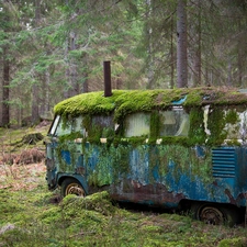 rusty, forest, Moss, Automobile