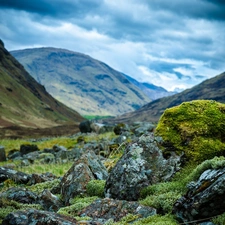 Moss, Mountains, Stones