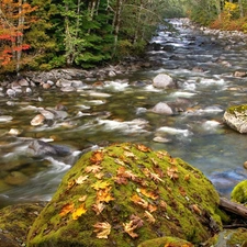 stream, forest, boulders, stony, autumn, mossy, Leaf