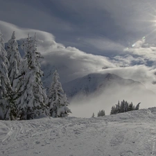 Spruces, winter, clouds, Mountains, rays of the Sun