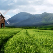 Mountains, woods, field, corn, Windmill