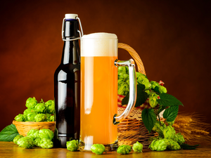 Beer, Bottle, hop, mug