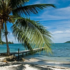 Palm, tropic, Beaches, Platform, Ocean