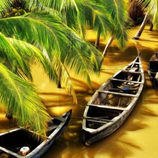 Palm, Boats, Twigs