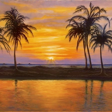 water, Great Sunsets, Palms