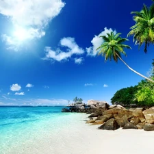 sea, Stones, Palms, Beaches