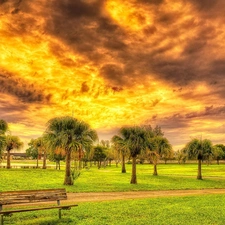 Park, Bench, sun, Palms, west