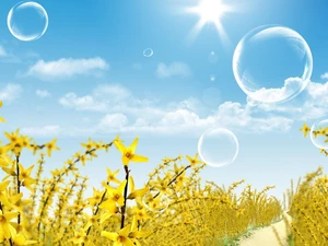 interesting eyes, Forsythia, Path