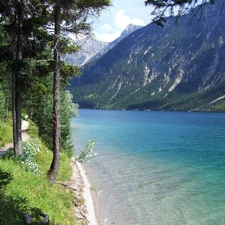 Mountains, forest, Path, River