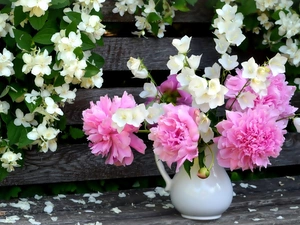 bouquet, jasmine, Bench, Peony
