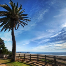 ligh, Beaches, Palm, flash, clouds, Coast, pier, luminosity, sun, Przebijające