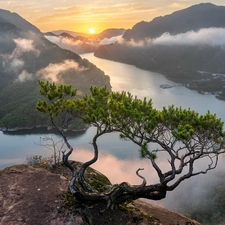 River, Sunrise, Fog, pine, Rocks, Mountains