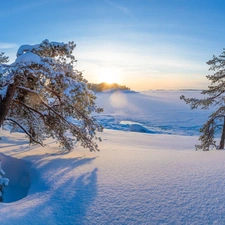 Sunrise, winter, viewes, pine, trees, snow