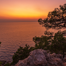 Rocks, sea, viewes, pine, trees, Great Sunsets