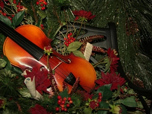 Plant, violin, Tunes