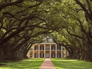Way, State of Louisiana, Oak Alley Plantation, viewes, Oak Alley Plantation Villa, The United States, Vacherie Municipality, oaks, trees, house