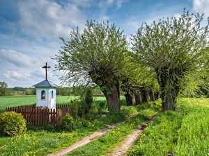 field, Poland, willow, chapel, Way