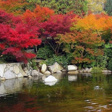 Park, viewes, pond, trees