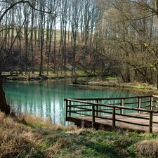 podium, grove, Pond - car