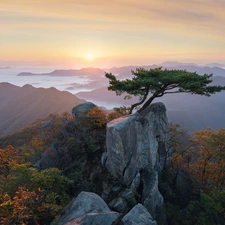 Sunrise, Daedunsan Provincial Park, trees, viewes, North Jeolla Province, South Korea, Mountains, Fog, pine
