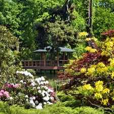 Park, color, Rhododendrons, arbour