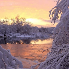 Bush, trees, River, rime, snow, viewes