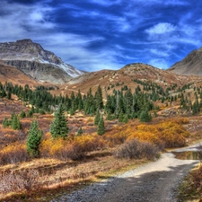 River, Mountains, Spruces