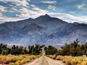 clouds, Way, scrub, Mountains