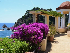 column, rhododendron, arbour, sea