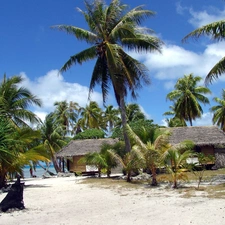 Houses, Beaches, sea, Palms