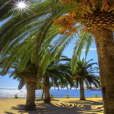 Sky, sea, Palms