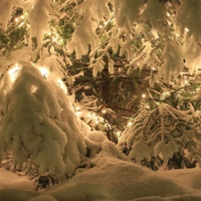 lights, christmas tree, snow