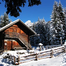 Snowy, Conifers, wooden, house, winter