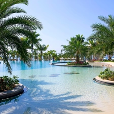 spa, tropic, Pool, Palms, Hotel hall