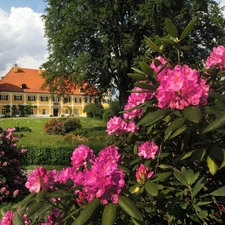 Spring, Rhododendrons, Ramspau, Park, Castle