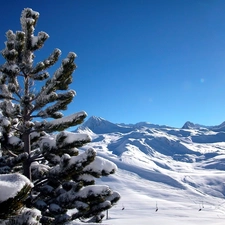 spruce, winter, Mountains