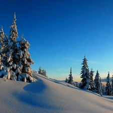 winter, Snowy, Spruces, Mountains
