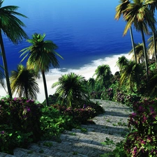 sea, Palms, Stairs, green ones