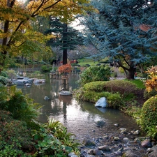 viewes, Park, Stones, Plants, brook, trees