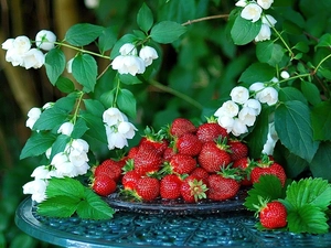 strawberries, Table, jasmine
