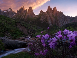 Stones, rocks, rhododendron, stream, Mountains, Flowers, clouds