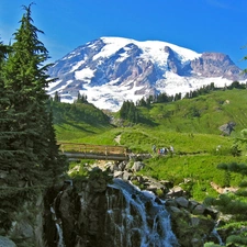 waterfall, Spruces, summer, Mountains