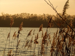 lake, west, sun, Cane