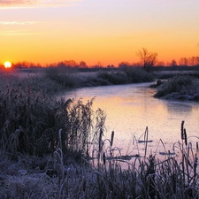 Bush, River, sun, winter, east, field