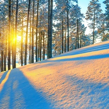 viewes, mountains, sun, winter, rays, trees