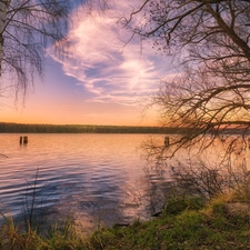 birch, trees, clouds, Sunrise, lake, viewes