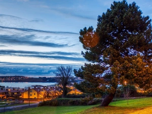 Meadow, viewes, Town, trees