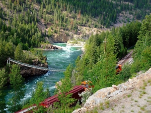 viewes, River, ##, Train, bridge, trees