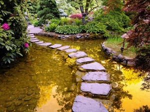 transition, rhododendron, water, Stone, Garden